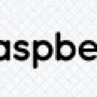 raspberry-logo.png